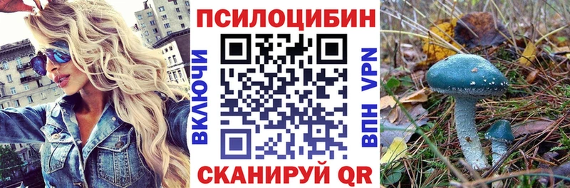 где купить наркоту Шарья Псилоцибиновые грибы GOLDEN TEACHER